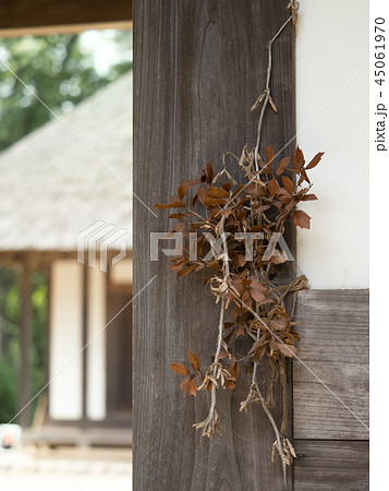 玄関の柊飾りの写真素材