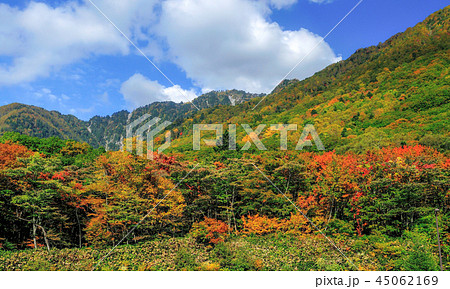 天空の彩!上高地の紅葉 天空の彩!上高地の紅葉 45062169