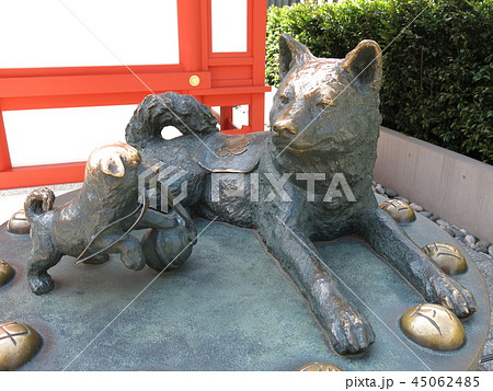 東京の水天宮にある子宝いぬ 45062485