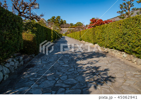 三重県 秋の御城番屋敷 三重県 秋の御城番屋敷 45062941