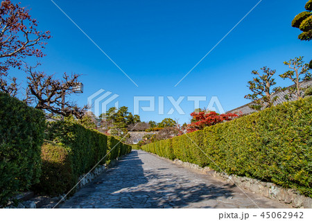 三重県 秋の御城番屋敷 三重県 秋の御城番屋敷 45062942