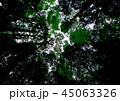 杜 45063326