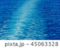 海路 45063328