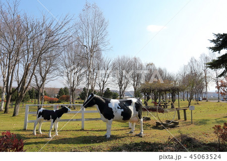 北海道 大空町 ひがしもこと乳酪館 北海道 大空町 ひがしもこと乳酪館 45063524