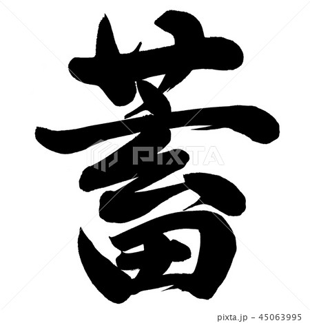 蓄 蓄 45063995