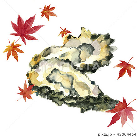 牡蠣 もみじ 牡蠣 もみじ 45064454
