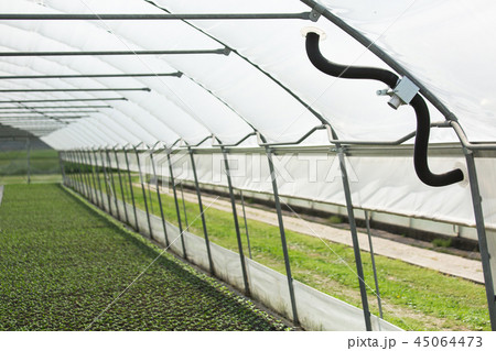 Modern greenhouses for growing flowers.  45064473