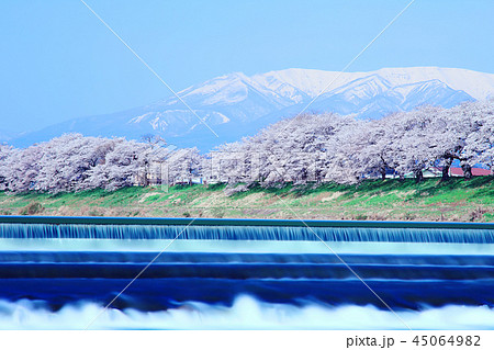 一目千本桜 45064982