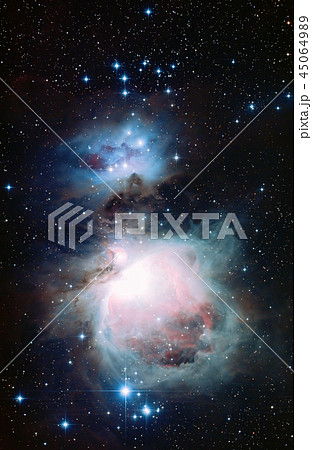 オリオン大星雲 オリオン大星雲 45064989