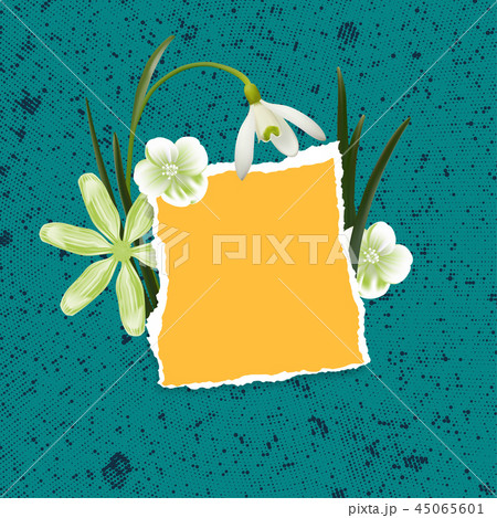 Natural background with spring flowers  45065601