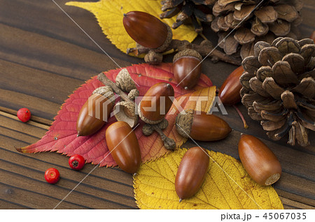 秋イメージ 45067035
