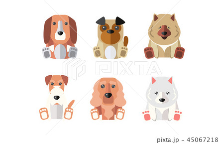 Collection of dogs of different breeds, cartoon animals pets vector Illustration on a white 45067218