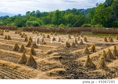 秋の田園風景 45067285