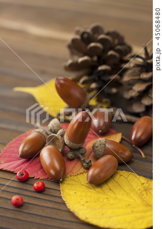 秋イメージ 45068480