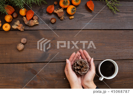 hands winter Christmas new year tree gifts home 45068787