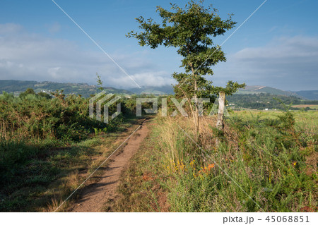 Camino Primitivo, Asturias, Spain 45068851