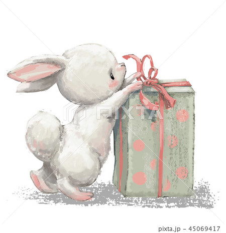 cute birthday cartoon hare with present box 45069417