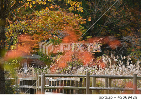 きららの森 45069428