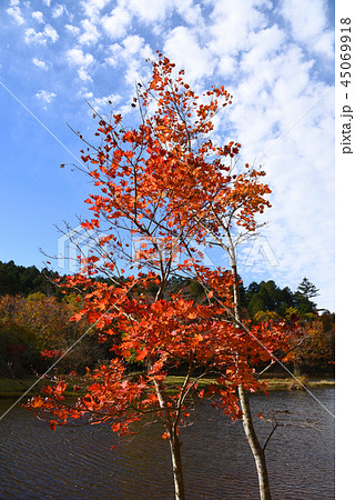 きららの森 45069918