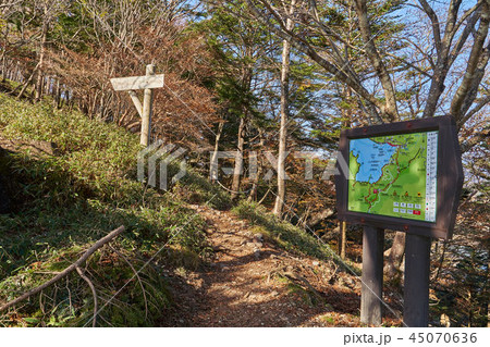 秋の中禅寺湖展望台から半月山に向かう登山口 45070636