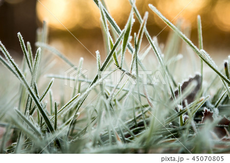 grass is frozen in ice crystals on the backdrop of the setting s 45070805