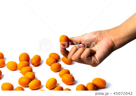 Hand holding kumquat fruit isolated 45072042