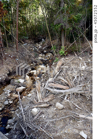 土石流跡 45072552
