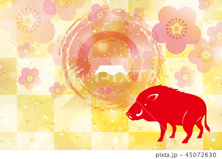 年賀状　2019年　亥　イノシシ　富士山　初日の出　梅　金 45072630