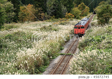 紅葉の只見線 45072745