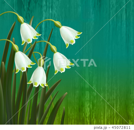 Floral background. Spring flowers. Snowflakes. 45072811