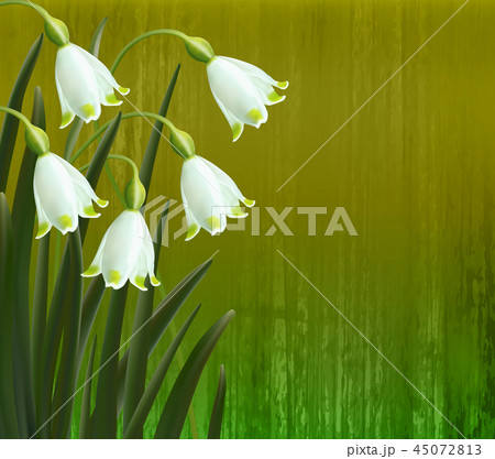 Floral background. Spring flowers. Snowflakes. Floral background. Spring flowers. Snowflakes. 45072813