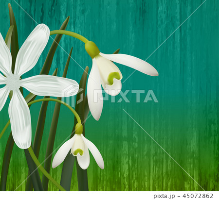 Floral Background Spring Flowers のイラスト素材