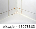 Mould in a white bathroom on the tiles and the sil 45073383