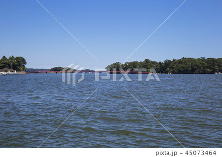 松島湾の夏 松島湾の夏 45073464