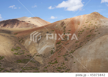 Landscape in Lauca National Park 45073842