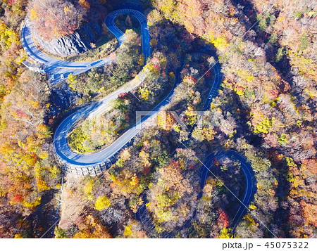 いろは坂 いろは坂 45075322