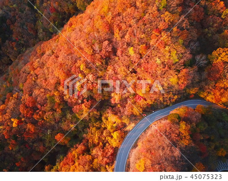 いろは坂 45075323