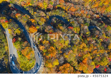 いろは坂 いろは坂 45075324