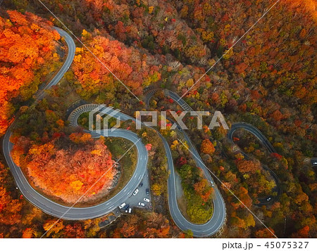 いろは坂 45075327