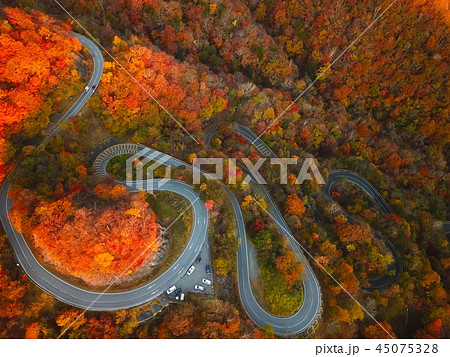 いろは坂 いろは坂 45075328