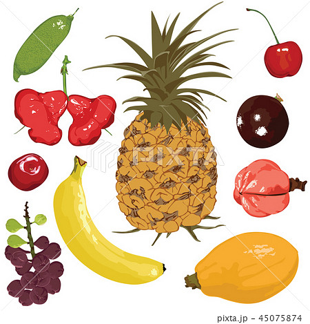 set of fruits on a white background 45075874