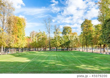 Green trees in Tuileries garden in Paris Green trees in Tuileries garden in Paris 45079200