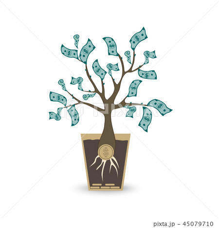 Ypung money tree. Isolated vector object on white background. Ypung money tree. Isolated vector object on white background. 45079710