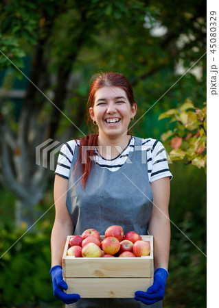 Photo of happy girl gardener with harvest of apples in wooden box in garden 45080329