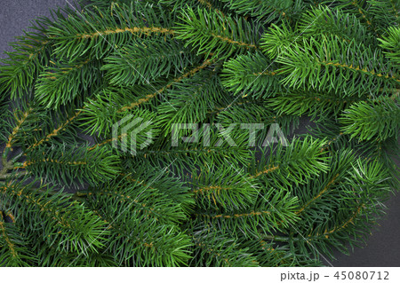 texture furry tree branches texture furry tree branches 45080712