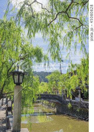 城崎温泉の街並み 45080828