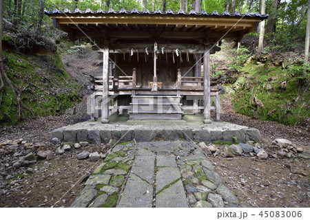 鳥居本八幡宮　本殿 45083006