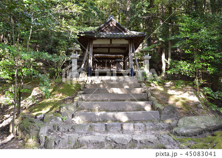 鳥居本八幡宮　拝殿 45083041