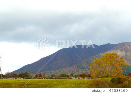秋の蒜山高原風景 45083169
