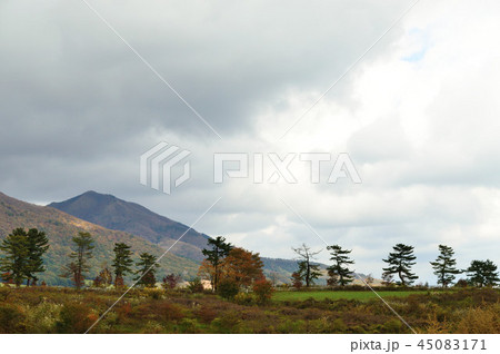 秋の蒜山高原風景 45083171